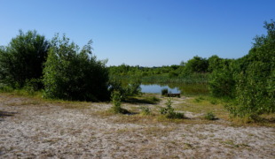 Wandelroute Oosterbos